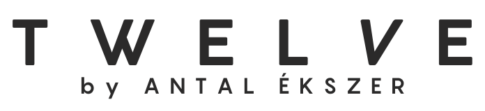 TWELVE Logo